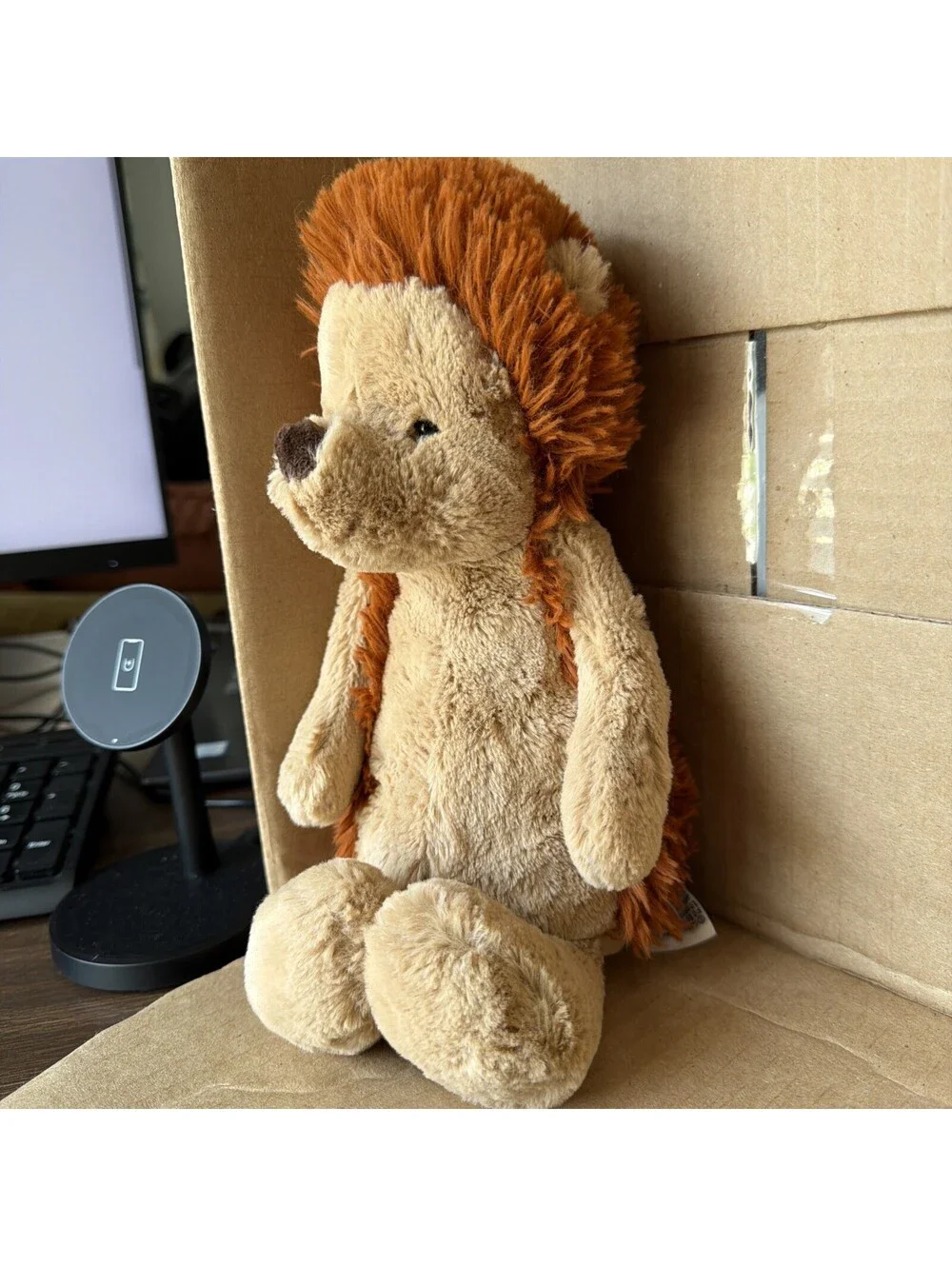 Jellycat medium bashful